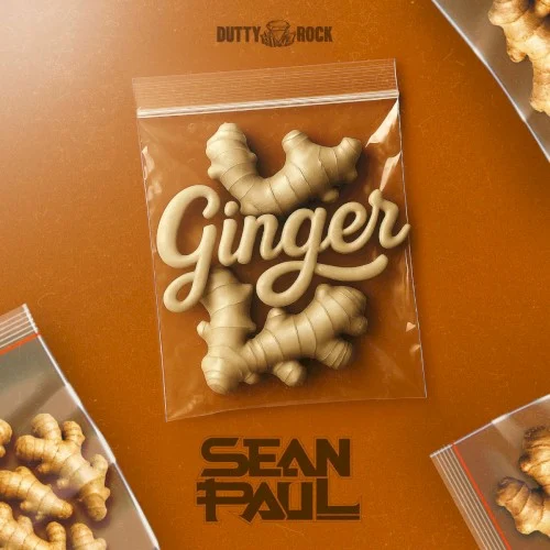 Ginger single cover by Sean Paul, released July 4, 2025 on Dutty Rock Productions