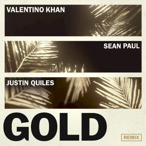 Gold (remix) remix album cover by Sean Paul, released January 26, 2018 on Because Music, mTheory
