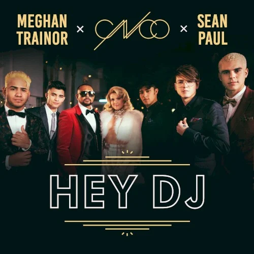 Hey DJ (remix) remix album cover by Sean Paul, released November 9, 2018 on Syco Music