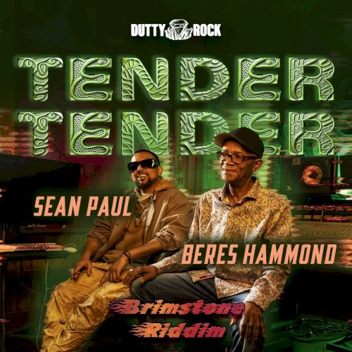 Tender Tender single cover by Sean Paul, released February 23, 2024 on Dutty Rock Productions