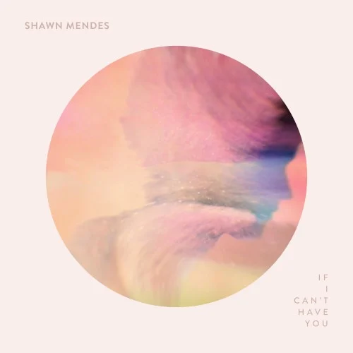 If I Can’t Have You single cover by Shawn Mendes, released May 3, 2019 on Island Records Group, Island