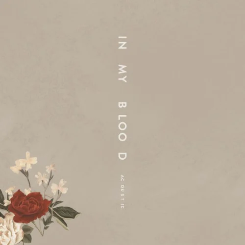 In My Blood (Acoustic) remix album cover by Shawn Mendes, released March 22, 2018 on Island