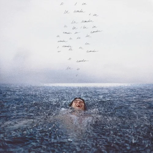 Intro single cover by Shawn Mendes, released September 30, 2020 on Island