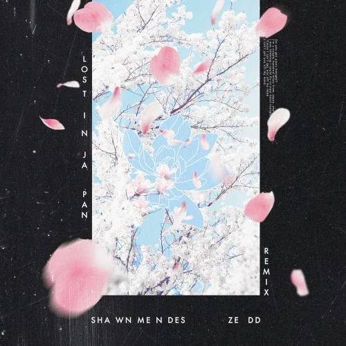 Lost in Japan (remix) remix album cover by Shawn Mendes, released September 27, 2018 on Island