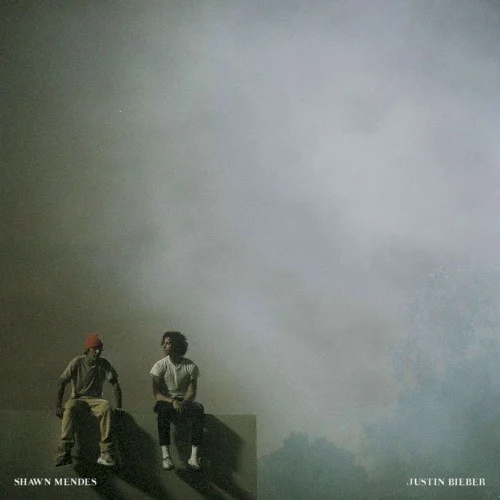 Monster single cover by Shawn Mendes, released November 17, 2020 on Island