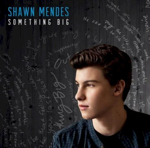 Something Big single cover by Shawn Mendes, released November 7, 2014 on Island