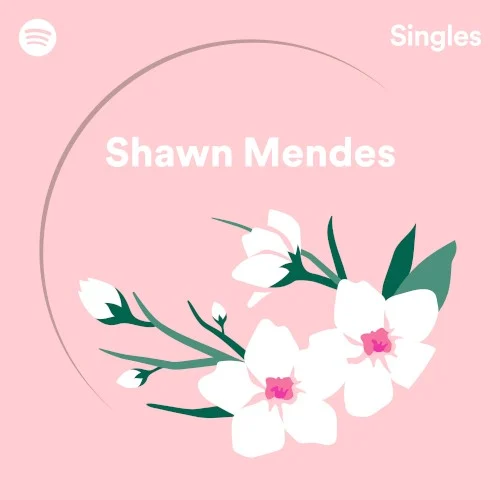 Spotify Singles single cover by Shawn Mendes, released November 14, 2018 on Island