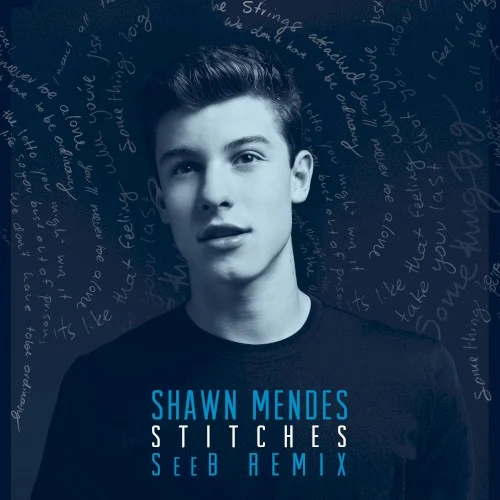 Stitches (Seeb Remix) remix album cover by Shawn Mendes, released October 16, 2015 on Island