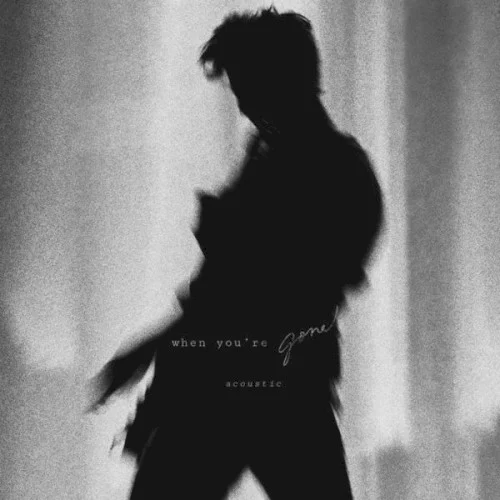 When You're Gone (Acoustic) remix album cover by Shawn Mendes, released March 31, 2022