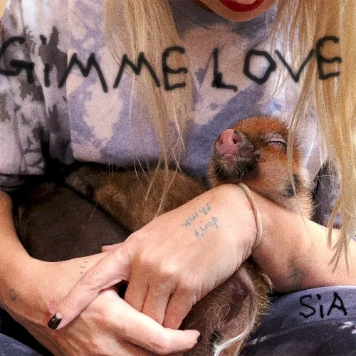Gimme Love single cover by Sia, released September 13, 2023 on Atlantic