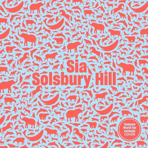 Solsbury Hill single cover by Sia, released February 13, 2025