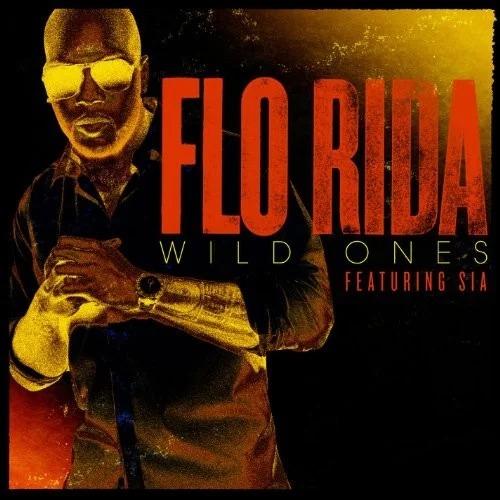 Wild Ones single cover by Sia, released December 19, 2011 on Atlantic, Poe Boy