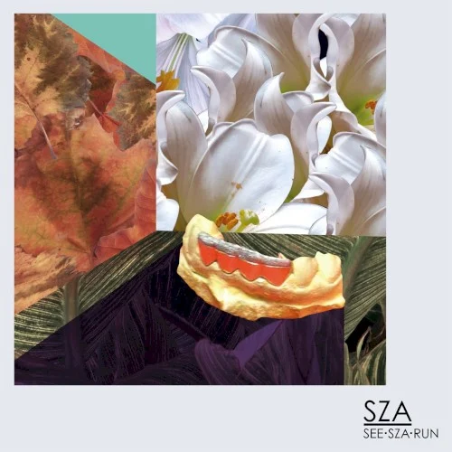 See.SZA.Run EP cover by SZA, released October 29, 2012