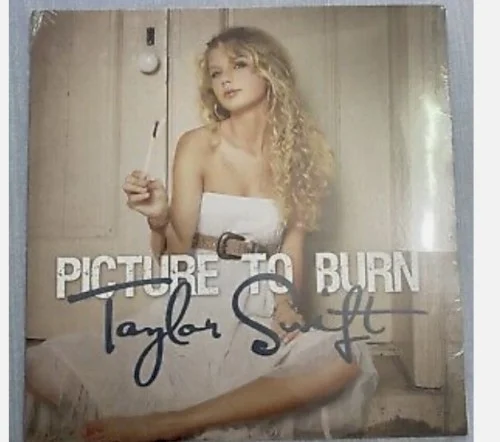 Picture to Burn single cover by Taylor Swift, released February 3, 2008