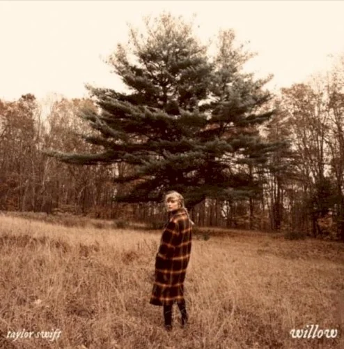willow single cover by Taylor Swift, released December 11, 2020