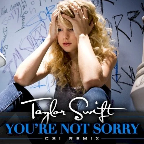 You’re Not Sorry (CSI remix) remix album cover by Taylor Swift, released March 5, 2009