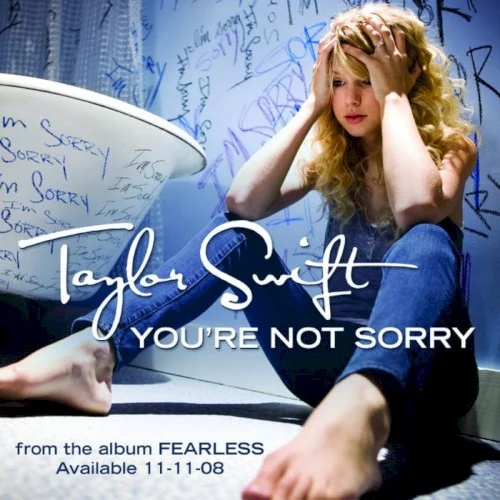 You’re Not Sorry single cover by Taylor Swift, released October 28, 2008