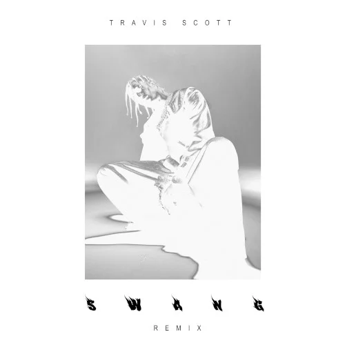Swang (remix) remix album cover by Travis Scott, released October 16, 2016