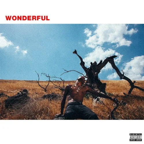 Wonderful single cover by Travis Scott, released December 31, 2015 on Epic
